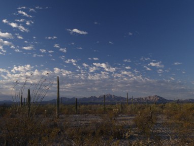 Southern Arizona